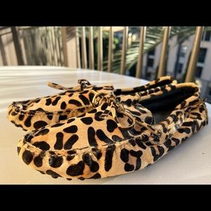 Exclusive Eve & Kane Leopard print loafers